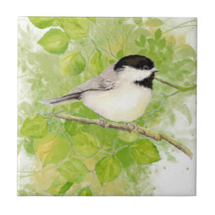 Niedlicher Chickadee Bird in Poplar Tree Fliese