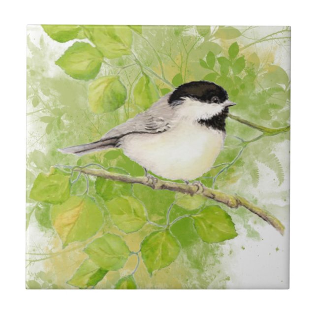 Niedlicher Chickadee Bird in Poplar Tree Fliese (Vorderseite)