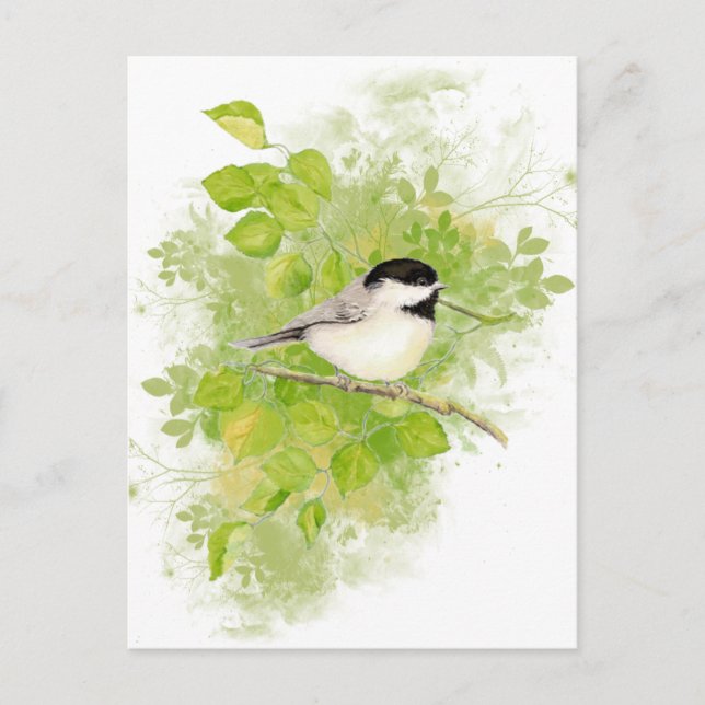Niedlicher Chickadee Bird in Poplar Tree Postkarte (Vorderseite)