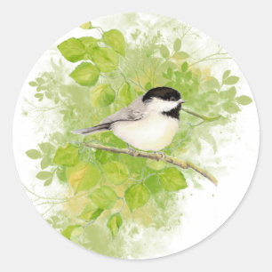 Niedlicher Chickadee Bird in Poplar Tree Runder Aufkleber