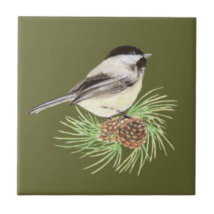 Niedlicher Chickadee Bird, Natur, Wildnis, Tier Fliese