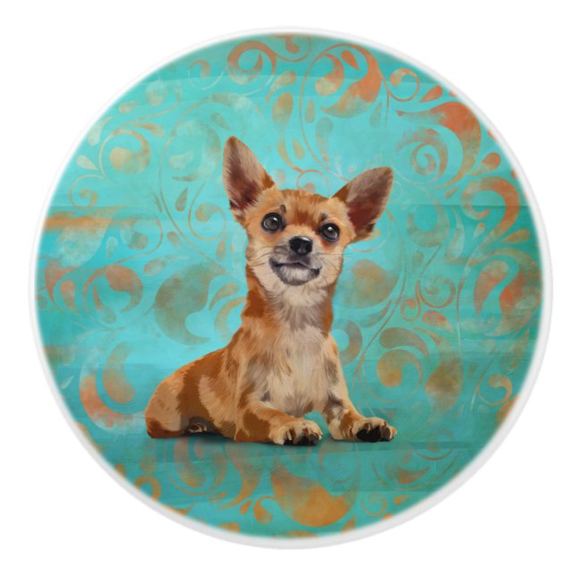 Niedlicher Chihuahua auf Paisley Pattern Keramikknauf (Vorderseite)
