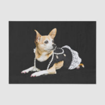 Niedlicher Chihuahua Dog Tan Brown Black Elegant