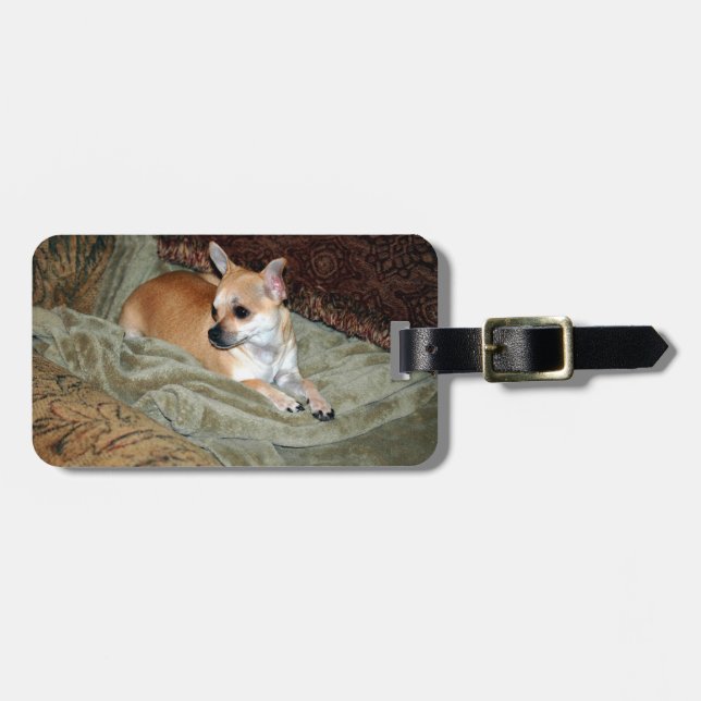 Niedlicher Chihuahua-Hund Gepäckanhänger (Vorderseite horizontal)