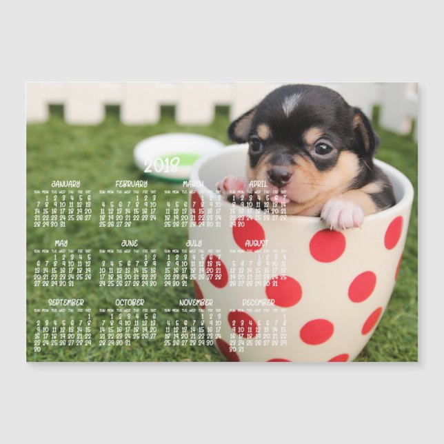 Niedlicher Chihuahua-Kalender 2018 Magnetkarte-12x Magnetkarte (Vorderseite)