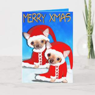 niedlicher Chihuahua Santa Feiertagskarte