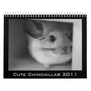 Niedlicher Chinchilla-Kalender 2011 Kalender