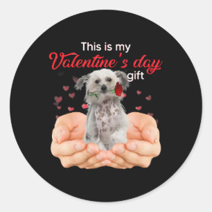 Niedlicher chinesischer Hund, das ist mein Valenti Runder Aufkleber