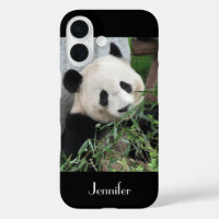 Niedlicher chinesischer Riese Panda Black Trim, In