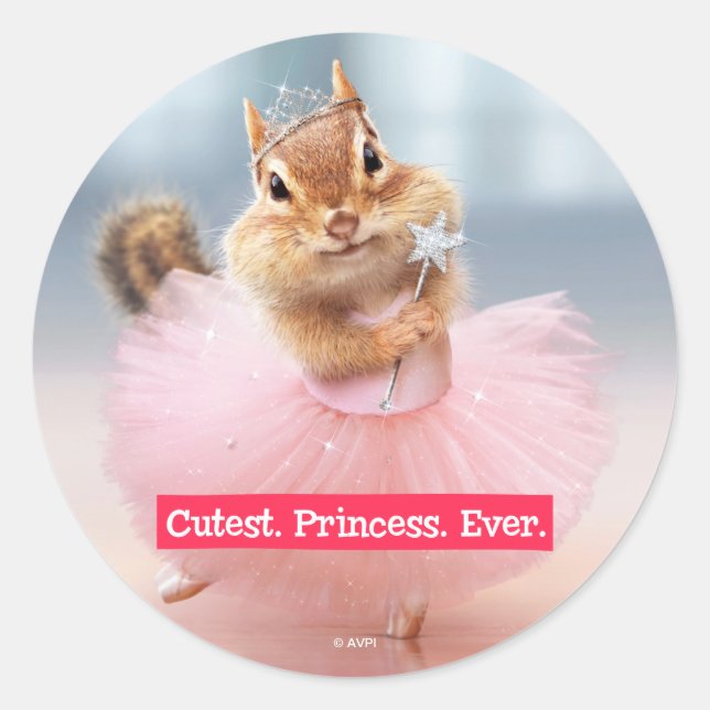 Niedlicher Chipmunk Ballerina in Tutu im Dance Stu Runder Aufkleber (Vorderseite)