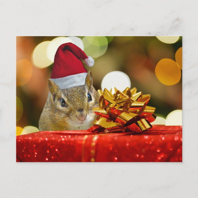 Niedlicher Chipmunk-frohe Weihnachten (Vorderseite)