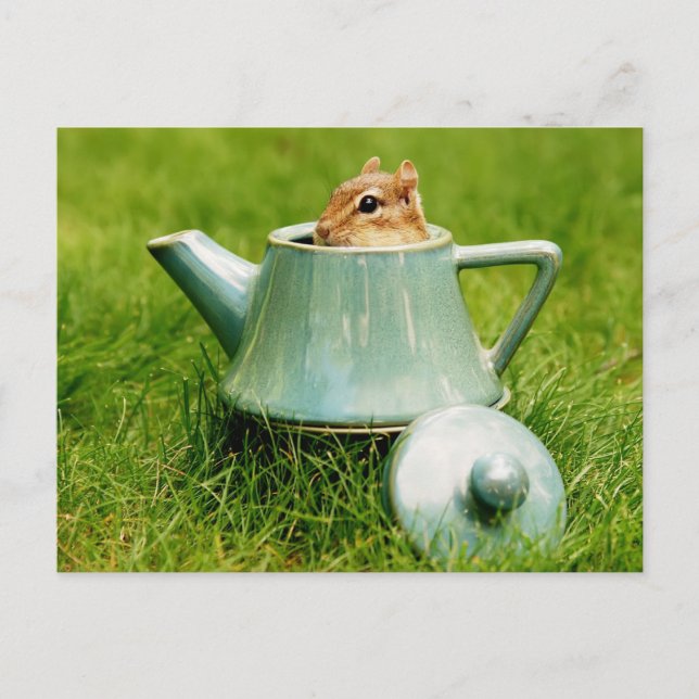 Niedlicher Chipmunk in Teapot Postkarte (Vorderseite)