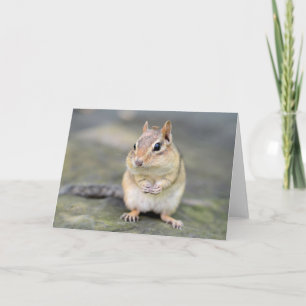 Niedlicher Chipmunk mit Bug Friend Karte