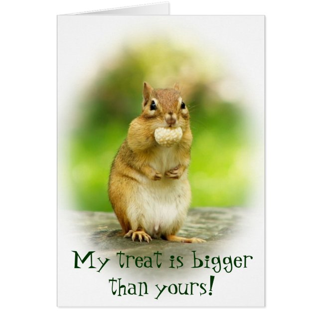 Niedlicher Chipmunk mit Leckerei (Vorne)