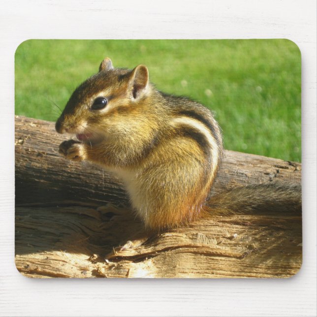 Niedlicher Chipmunk Mousepad (Vorne)