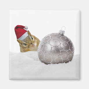 Niedlicher Chipmunk Silver und Schnee Weihnachtsfe Magnet