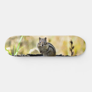 Niedlicher Chipmunk Skateboard