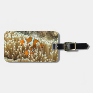 Niedlicher Clown-Fisch-Gepäck-Umbau Gepäckanhänger