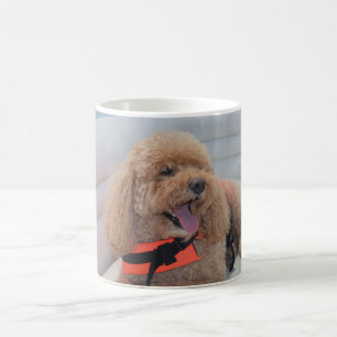 Niedlicher Cockapohund mit Lebensader Kaffeetasse