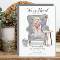 Niedlicher Cockapoo-Hund Wir haben uns bewegende A