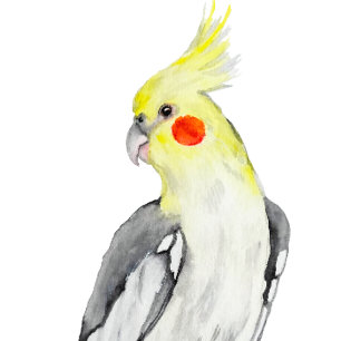 Niedlicher Cockatiel-Aquarellpapagei. Kissen
