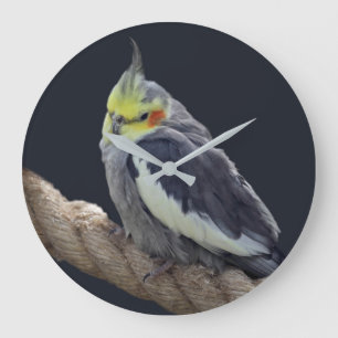 Niedlicher Cockatiel-Wanduhr Große Wanduhr