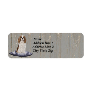 Niedlicher Cocker Spaniel sitzt auf blauem Polster