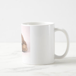 Niedlicher Cockerspaniel Kaffeetasse