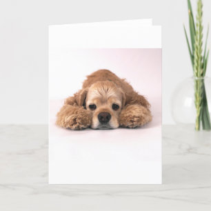 Niedlicher Cockerspaniel Karte
