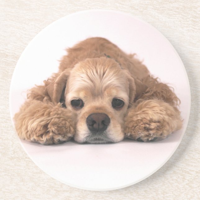 Niedlicher Cockerspaniel Sandstein Untersetzer (Vorne)