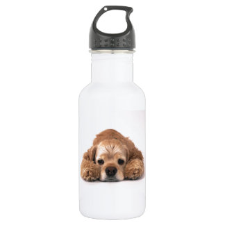 Niedlicher Cockerspaniel Trinkflasche