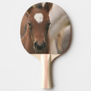 Niedlicher Colt Tischtennis Schläger