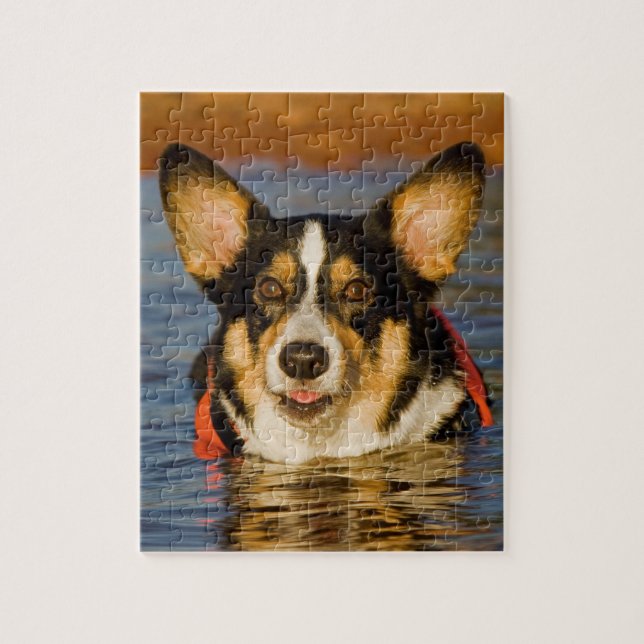 Niedlicher Corgi (Vertikal)