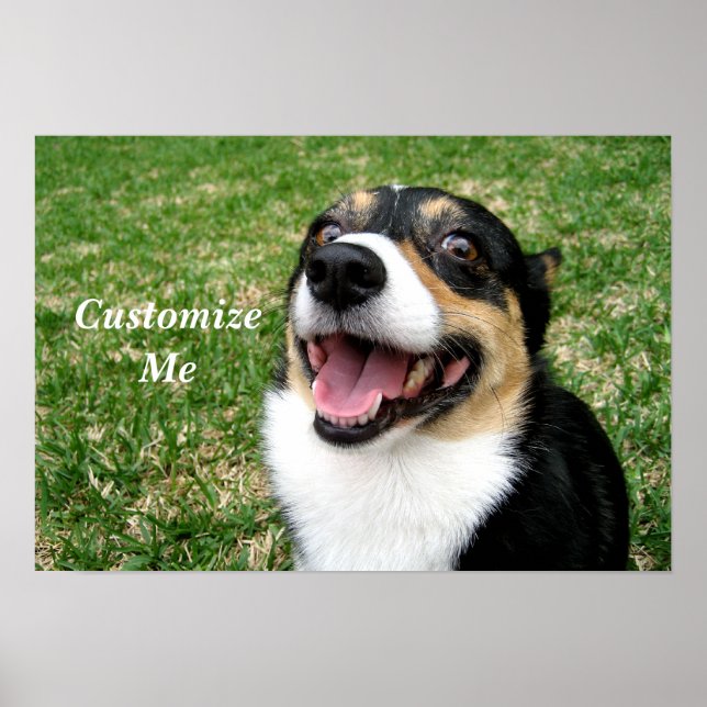 Niedlicher Corgi Hund kundenspezifisch Poster (Vorne)