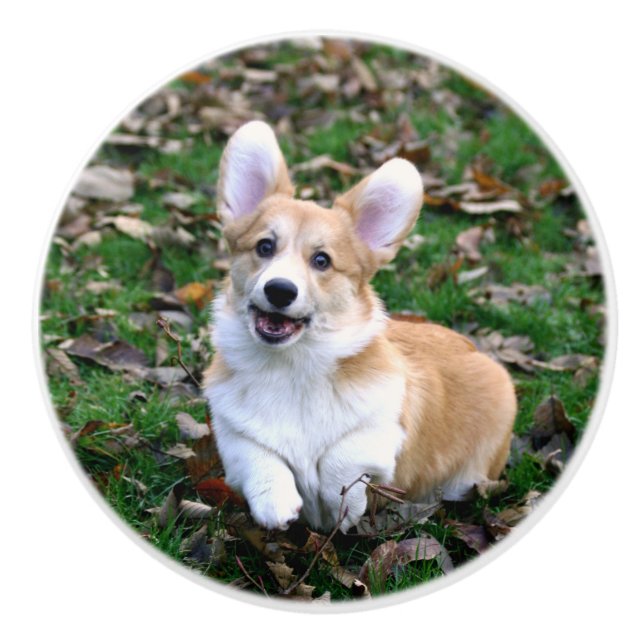 Niedlicher Corgi-Hund springend Keramikknauf (Vorderseite)