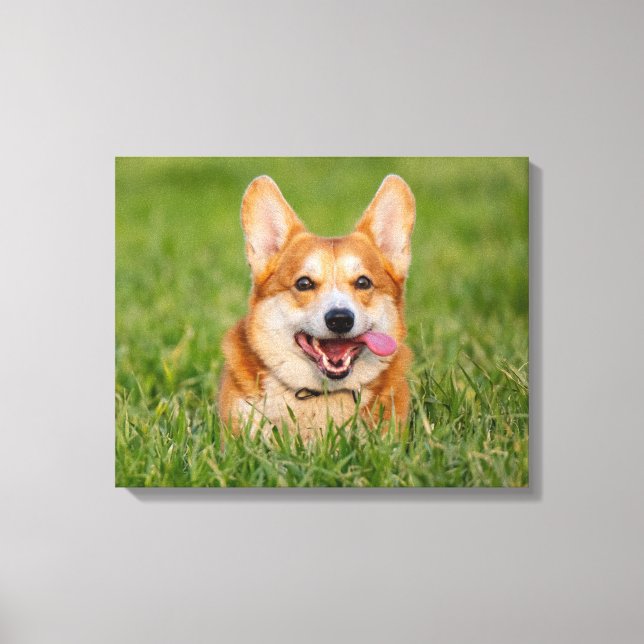 Niedlicher Corgi im Gras Leinwanddruck (Vorderseite)