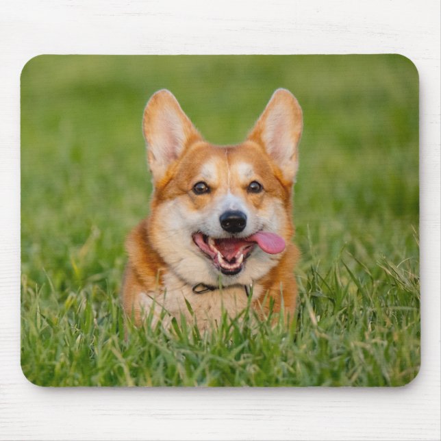 Niedlicher Corgi im Gras Mousepad (Vorne)