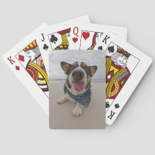 Niedlicher Corgi mit der Zunge heraus Spielkarten