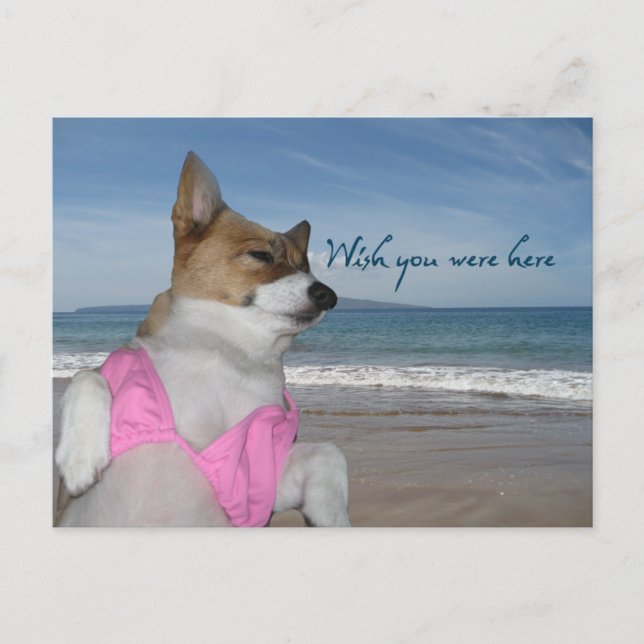 Niedlicher Corgi Sommerurlaub wünscht, Sie wären h Postkarte (Vorderseite)