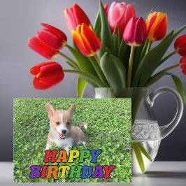 Niedlicher Corgi Welpenhund Fotografie Rainbow Bir Karte