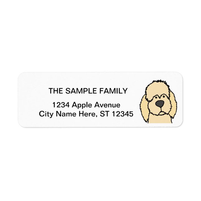 Niedlicher Cream Labradoodle Welpenhund (Vorne)