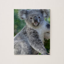 Niedlicher cuddly australischer Koala