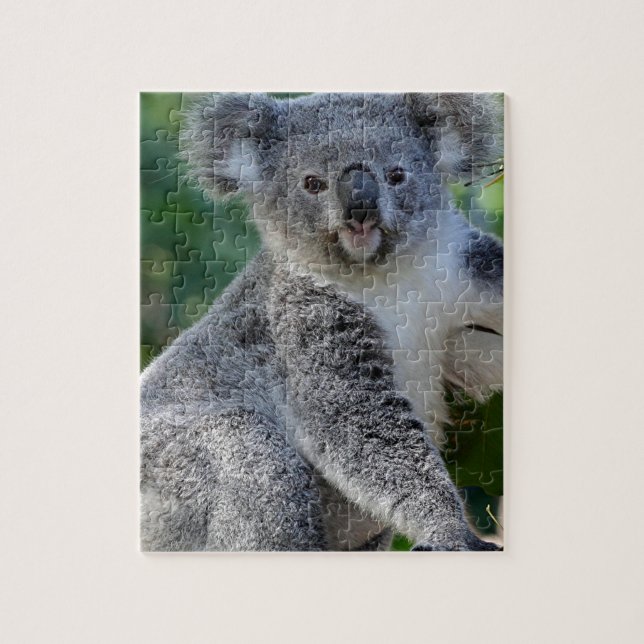 Niedlicher cuddly australischer Koala (Vertikal)