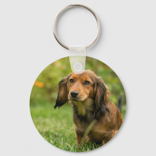 Niedlicher Dackel Schlüsselanhänger