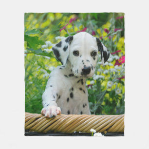 Niedlicher Dalmatiner-Hundewelpe, Komfort Fleecedecke