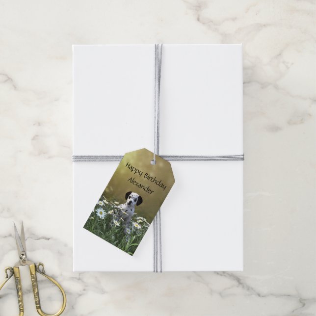 Niedlicher Dalmatiner Welpe in Daisies Geschenkanhänger (Mit Garn)