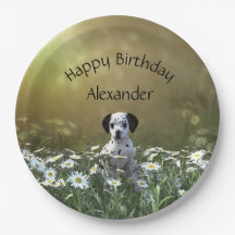 Niedlicher Dalmatiner Welpe in Daisies