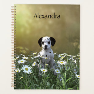 Niedlicher Dalmatiner Welpe in Daisies Planer