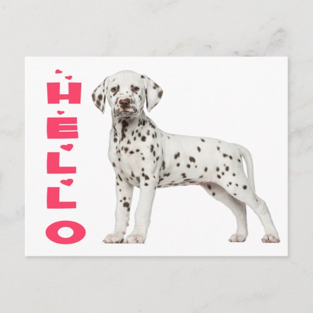 Niedlicher Dalmatiner Welpen Hund Hallo Denken Sie Postkarte (Vorderseite)