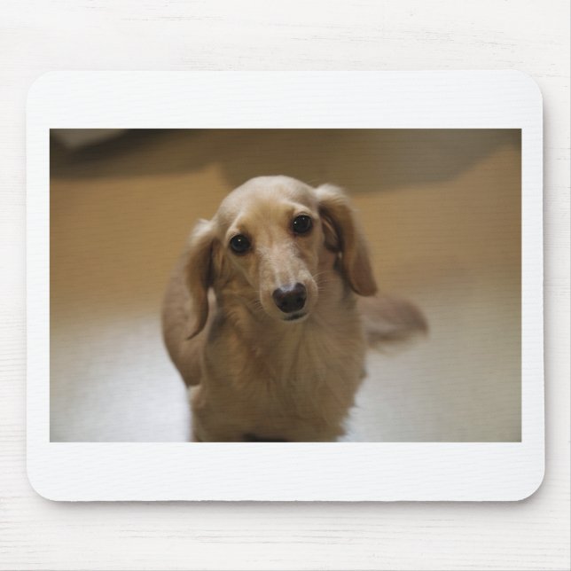 Niedlicher Datschund Mousepad (Vorne)